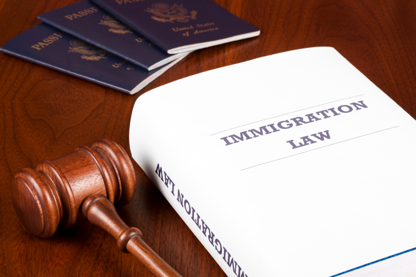 The Role of Immigration Lawyers - Law Office of Neumann and Rodriguez