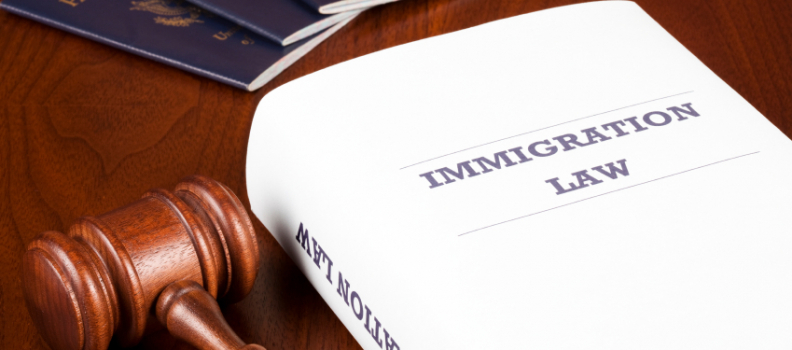 The Role of Immigration Lawyers
