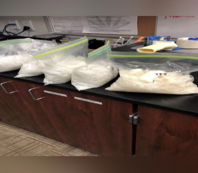 Dino the K-9 helps to find $63K worth of meth in drug bust